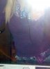 000_0008.JPG