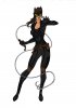 catwoman_redesign__by_comicbookguy54321-d5grja4.jpg