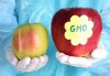 gmo_1375117856.jpg