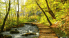 244ee5bc0799f1d3ea7ba69416d717b2.gif