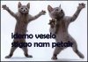 PETAK.jpg
