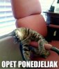 ponedelnik.jpg