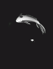 tumblr_n71filFSTV1qkuwvto1_500.gif