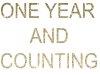 one-year.jpg