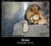 brate.jpg