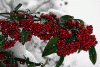 b2a3d1fc1cef759b2565024c4df6e66c.gif