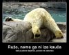 ruzo.jpg