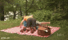 47b2dvlr8gty.gif