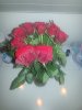 20151216_084137.jpg