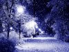 Winter-wallpaper-9421261.jpg