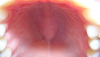 Bildschirmfoto 2015-12-21 um 18.46.54.png
