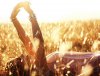 summer,my,time,amazing,beautiful,fantasic,girl-2cbbcee424ad1a4a4c1e756f61323bf6_h.jpg
