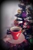 IMG_20160104_020550.jpg