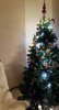 2016-01-05 19.20.47.jpg