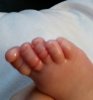 2016-01-06 11.14.28.jpg