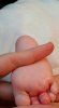 2016-01-06 11.13.52.jpg