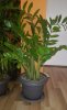 IMG_20160110_144606.jpg