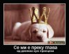 FB_IMG_1452943461985.jpg