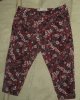 DSC04204.JPG