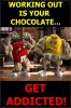 Working-out-is-your-chocolate.-Get-addicted-590x885.jpg