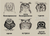 20160209_141931.png