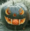 777-giant-pumpkin.jpg