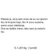 FB_IMG_1455289256849.jpg