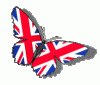 butterflyUK.gif