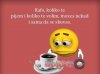 FB_IMG_1455619166703.jpg