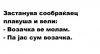 12705503_982316018506019_2805704568546918028_n.jpg