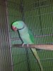 20160222_190341.jpg