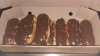20160223_204837.jpg