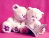 Cute-HD-Teddy-Bear-Photos.jpg