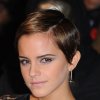 rby-pixie-emma-watson-de.jpg