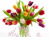 Tulips-flowers-33551630-1024-768.jpg