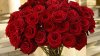 A_Huge_Bunch_of_Roses-Flowers_Photography_Desktop_Wallpaper_1920x1080.jpg