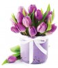 BUKETI-ZA-VASE-DAME.jpg