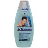 schauma-szampon-przeciwlupiezowy-meski-400ml.jpg