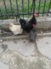 20160315_111119.jpg