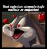 FB_IMG_1458150821687.jpg