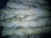 DSC00075.JPG