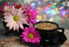 1113276-bigthumbnail.jpg