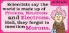 top-20-short-funny-sayings-about-stupid-people-and-stupidity-21701020.jpg