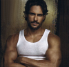 alcide3.png