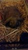 IMG-20160331-WA0047.jpg
