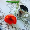 IMG_20160402_095115.jpg