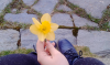 upload_2016-4-3_14-18-3.png