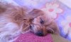 IMG_20160331_161003.jpg