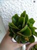 IMG_20160408_173949.jpg