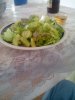 IMG_20160410_145248.jpg